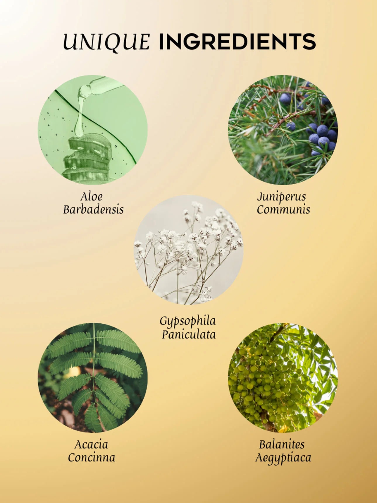 Bubble Hand Wash Gel - 400ML (Magrada Organic Cosmetics)